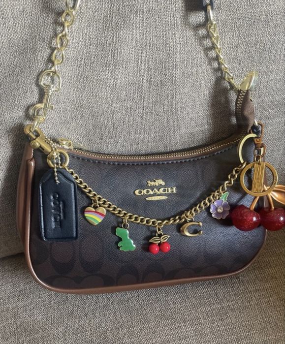 Mala Coach com charme