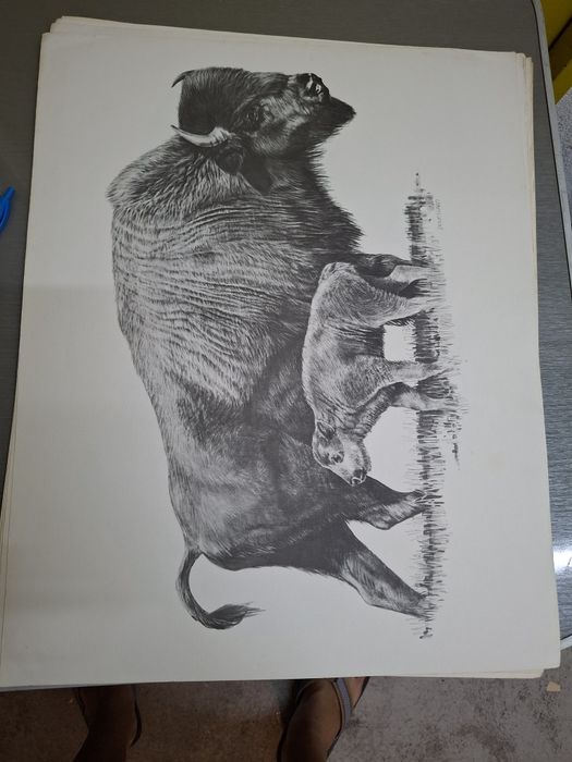 Enorme desenho pintura arte