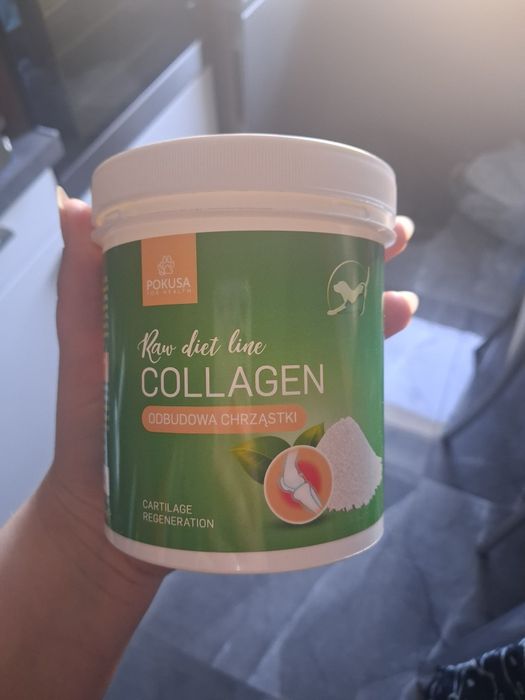 Kolagen dla psa pokusa