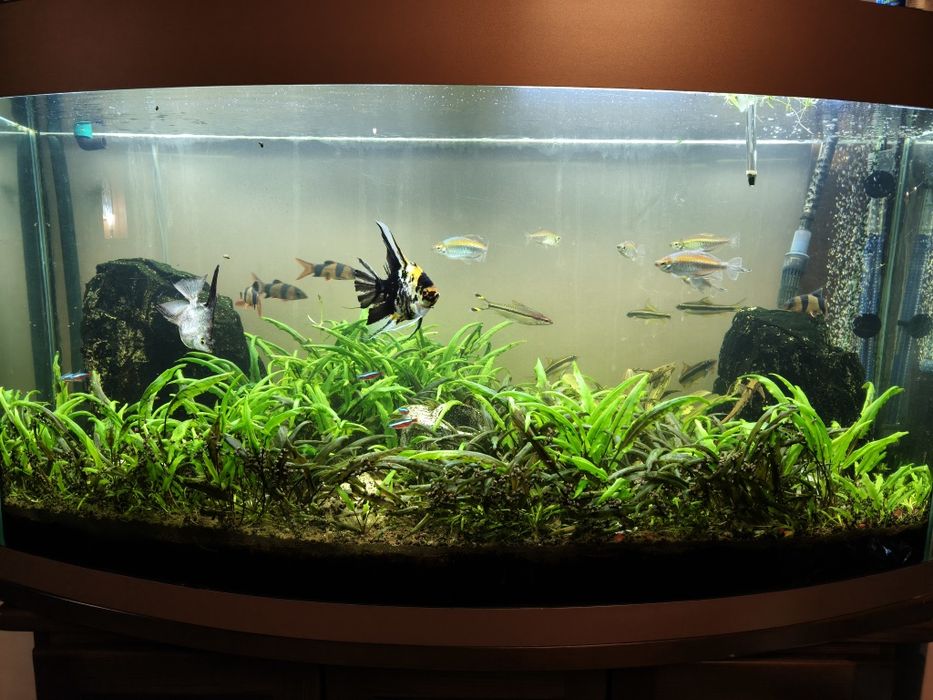 Продам акваріум 350 л. З усім фільтр, ультра фіолетовою лампою...