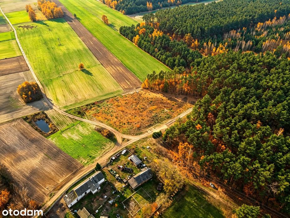 Działka 4400 m² przy lesie, media, MPZP, możliwy podział - Widok 5