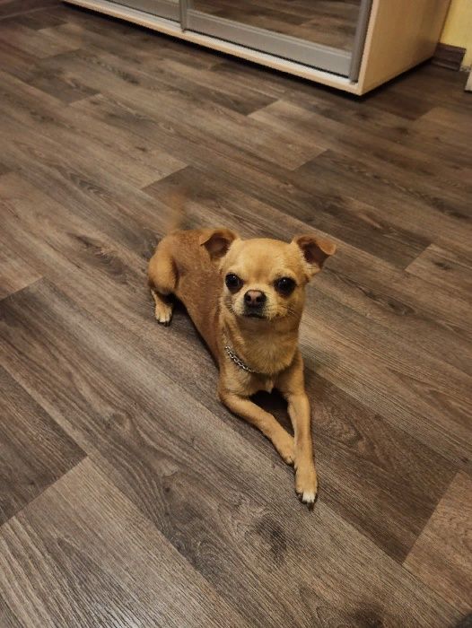 Кабель для вязки