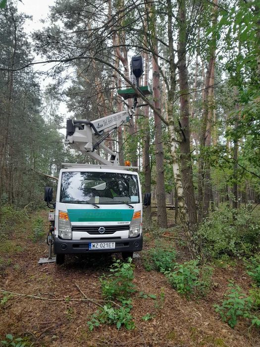 Wycinka Drzew Pielęgnacja Ogrodów