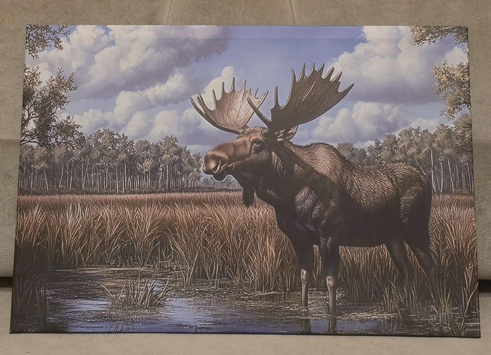 Obraz na płótnie ŁOŚ BYK Alces alces L. Łopaty poroże. Na prezent Łowy