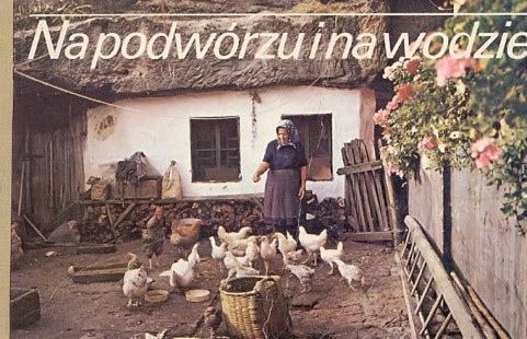 Na Podwórzu I Na Wodzie Praca Zbiorowa