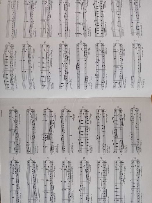 Nuty na akordeon etiudy Skarbczyk akordeonisty