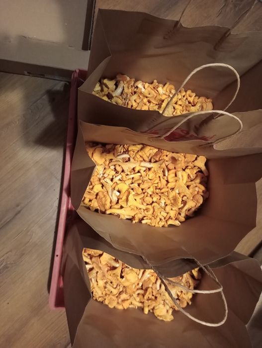 Kurki 6 kg wysyłka
