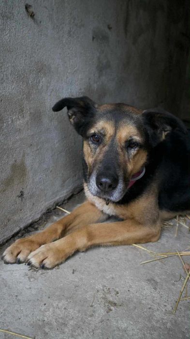 Radek - złamany przez Radysy. Nadal ma nadzieję.