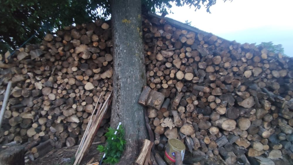Buk sezonowany 2 lata, idealny do kominka.