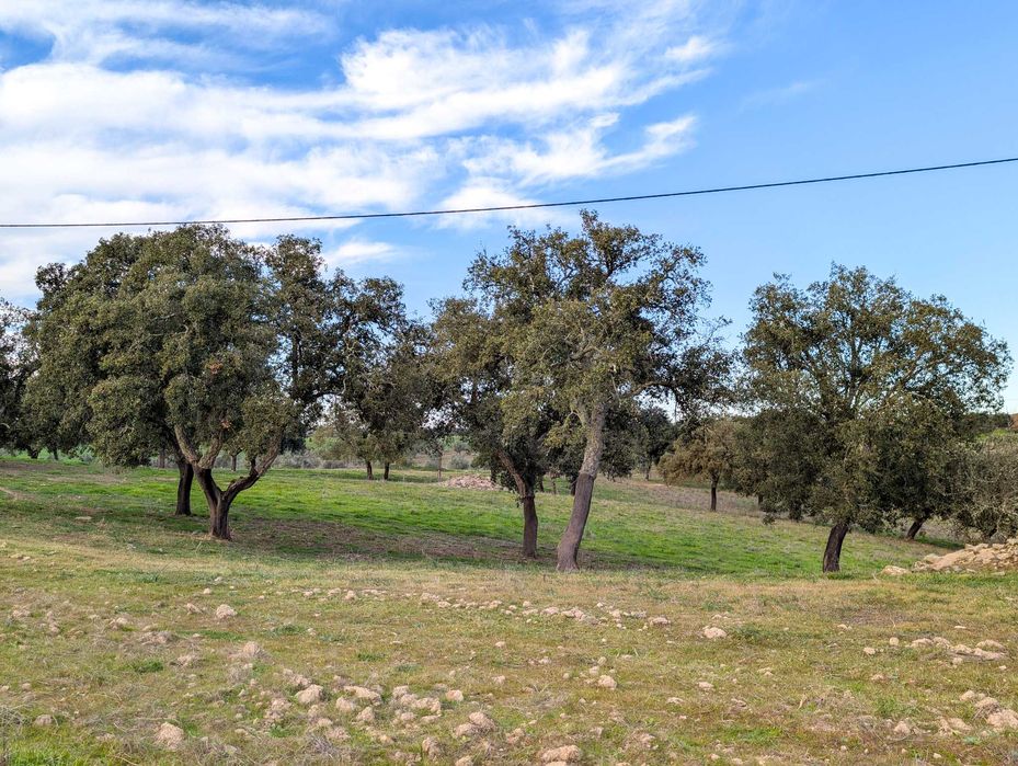 Propriedade única com a possibilidade de construção até 500 m²