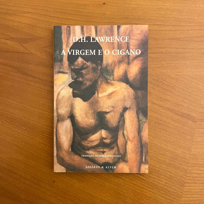 D. H. Lawrence - A Virgem e o Cigano (envio grátis)