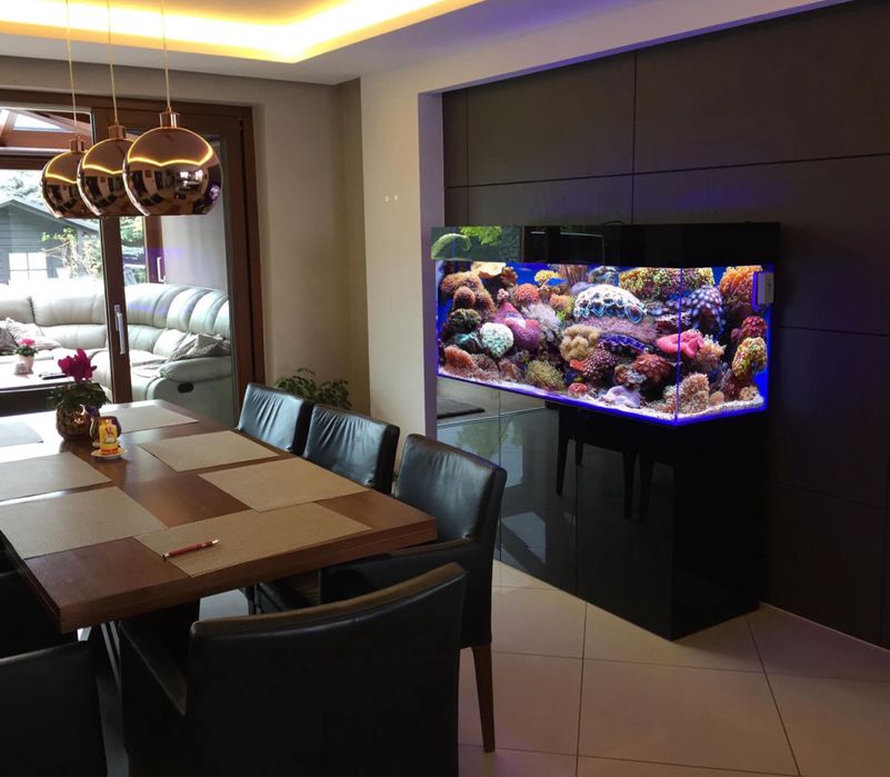 Akwarium 450 l 150/50/60 cm - Samo akwarium