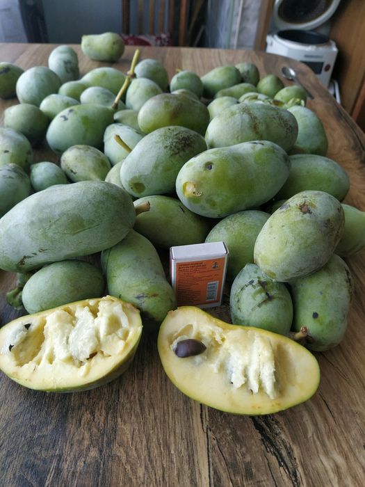 актинідія жимолость гумі фундук