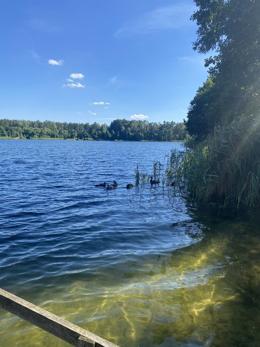 Okoniny - domek nad jeziorem - Bory Tucholskie