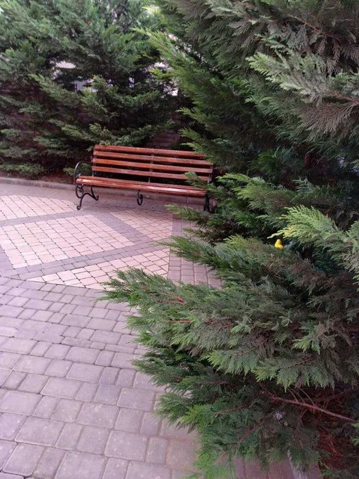 Оренда квартири Одеса Таїрова Золотий Берег, подобово/довгостроково