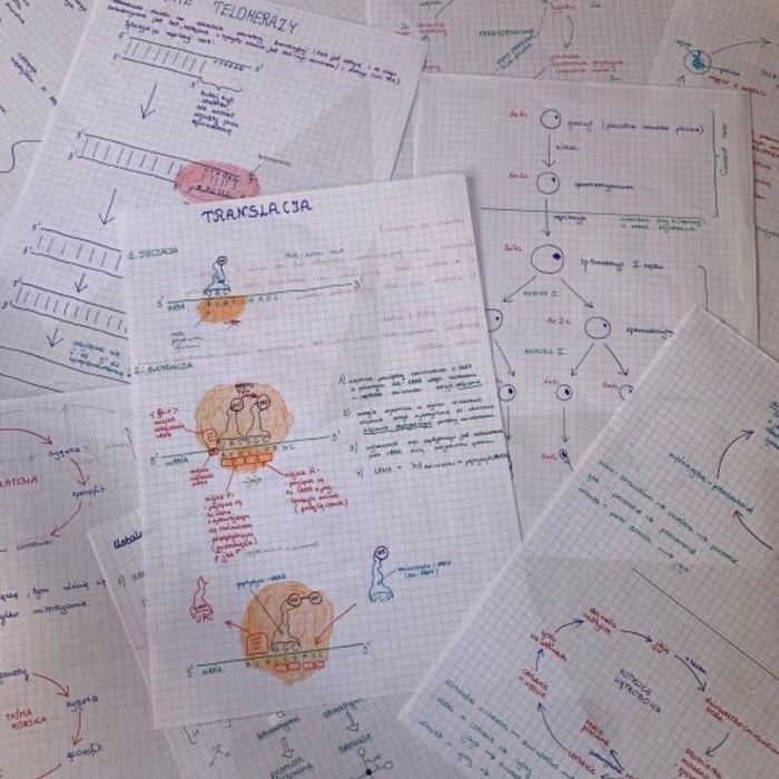Korepetycje z CHEMII i BIOLOGII Warszawa