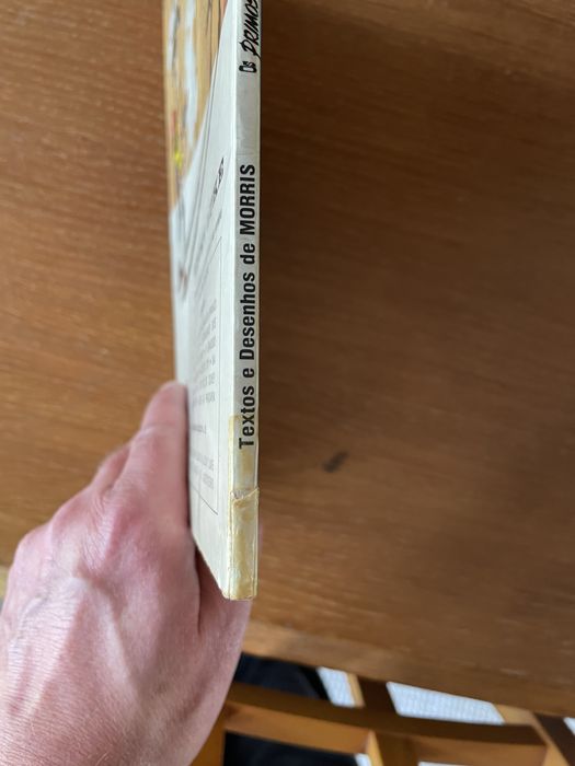 Lucky Luke Os Primos Dalton