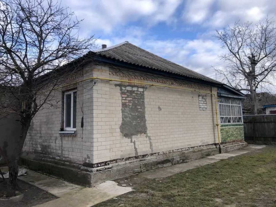 Пропоную до продажу будинок в с. Будище.