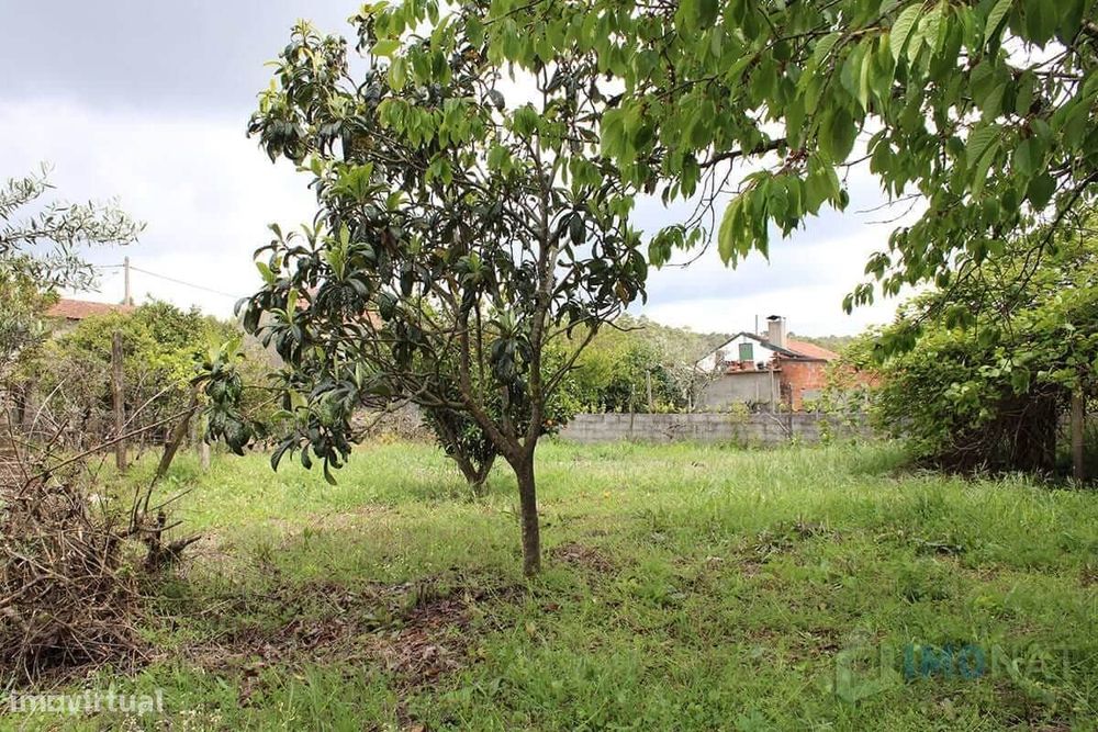 Lote de Terreno
