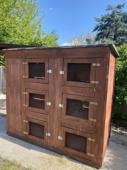 Klatki dla królików