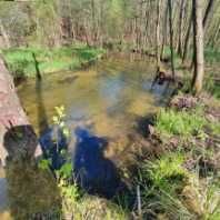 Dzialka Golce nad rzeką Dobrzyca