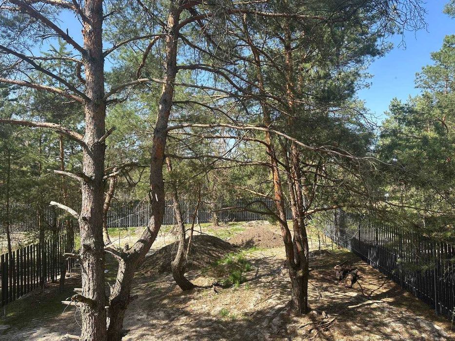 Котедж 200 кв.м з виходом до річки. Ділянка серед сосен. Розстрочка 1р