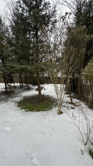 Будинок за адресою вул. Капеланська (площа 70 м²) - Atlanta.ua - фото 10