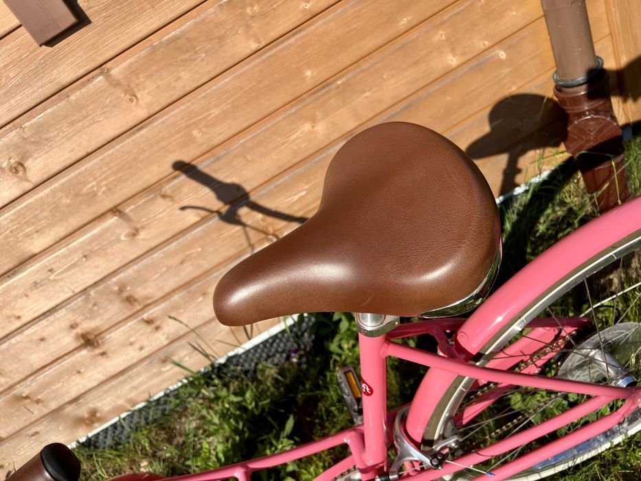 Rower miejski Elektra loft