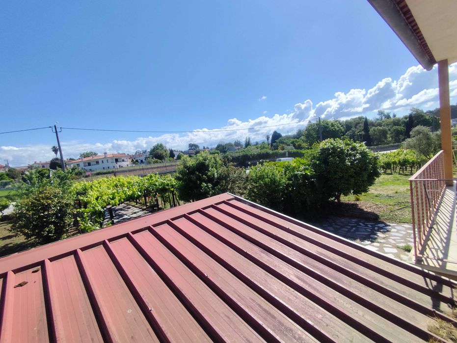 2250m2 Terreno, Quintinha com Vinha e Moradia T4+