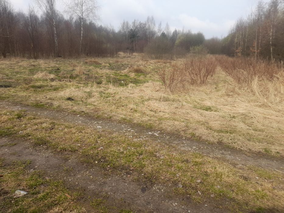 Piękne miejsce koło Przysuchy, Kozłowiec  116 km od Warszawy.