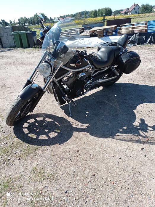 Harley Davidson V-Rod  VRSCA -sprzedam