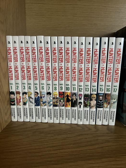 Hunterxhunter manga 1-17 tom polska