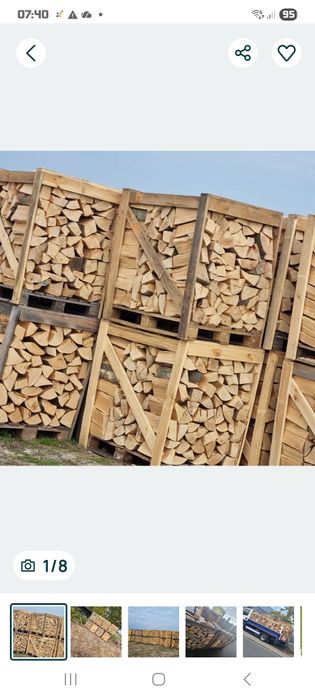 Buk jawor drewno opałowe  nie[ brzoza dąb sosna grab jesion ]