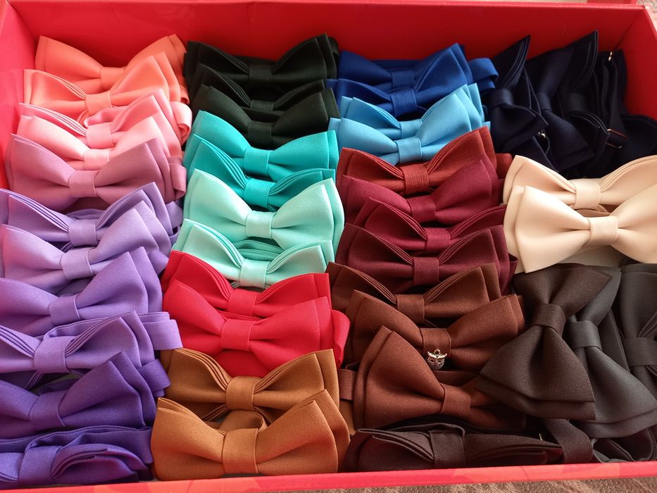 Метелик-краватка чоловічий.  Метелик. Бабочка