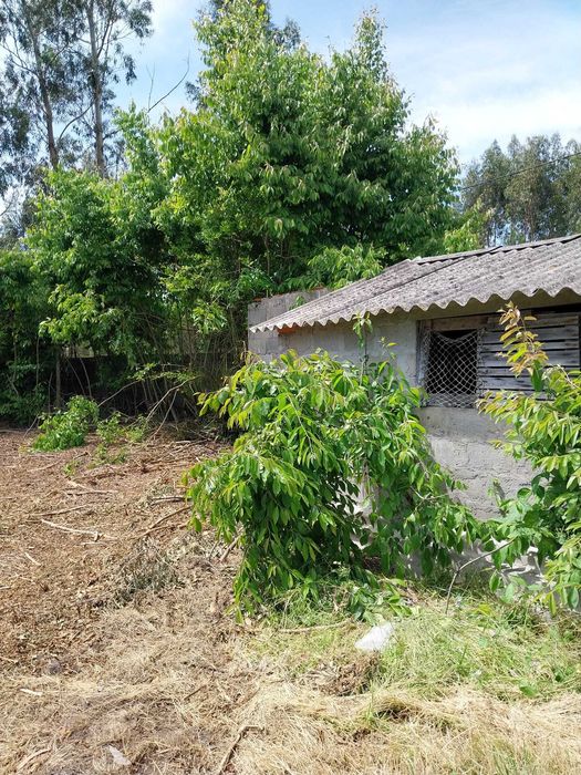 Terreno rústico com capacidade construtiva