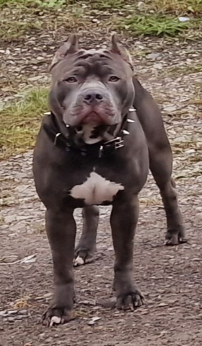 Стафф для в'язки.