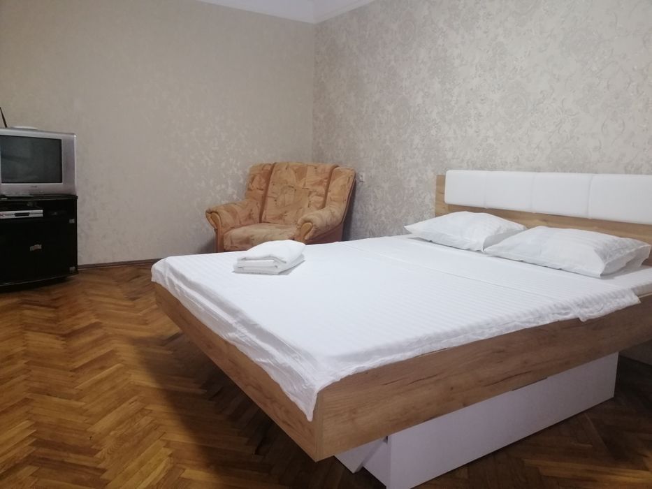 Подобово 1-кімнатна квартира Нивки