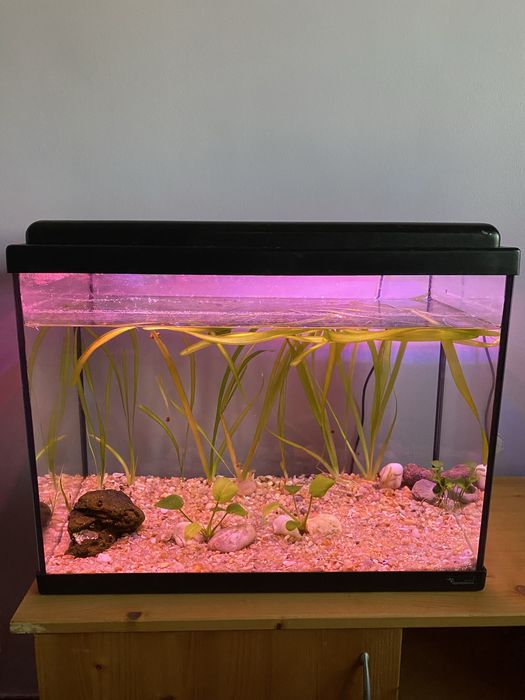 Aquario bom estado
