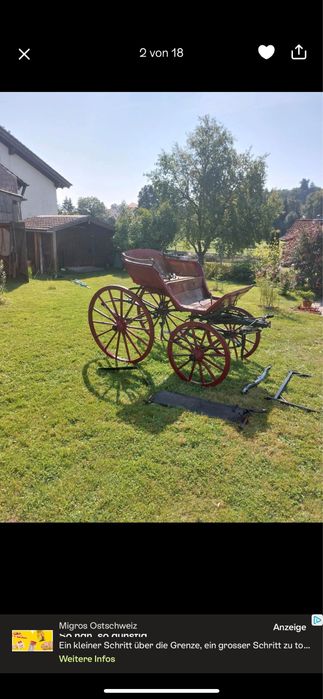 Dorożka na jednego konia;kucyka