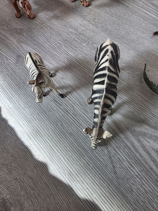 Animais selvagens e animais da quinta