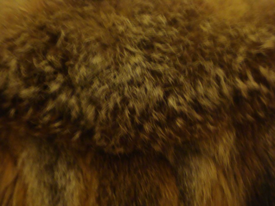 Casaco de peles verdadeiras de raposa em óptimo impecável .