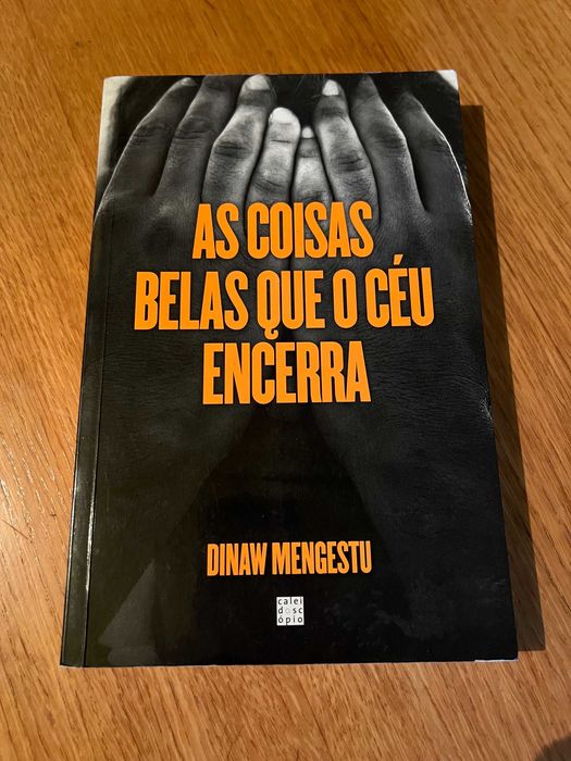 As coisas belas que o céu encerra      DINAW MENGESTU