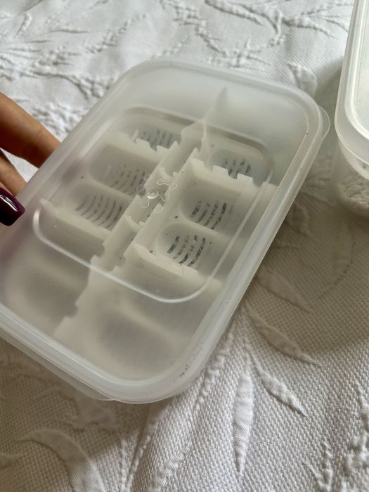 Pojemnik na jajka gekon jaszczurka