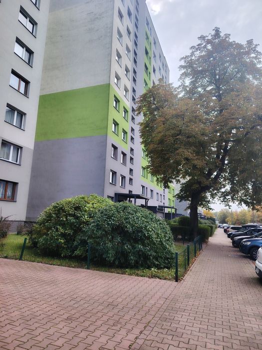 Polecam mieszkanie 50m2