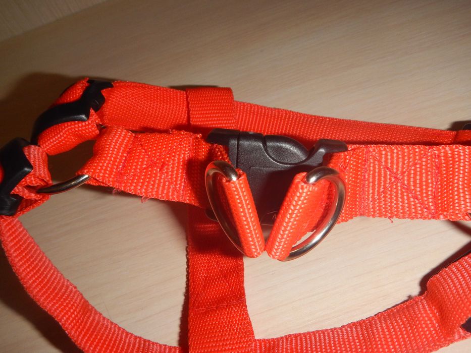 шлея зі світлодіодами р.М(44см)