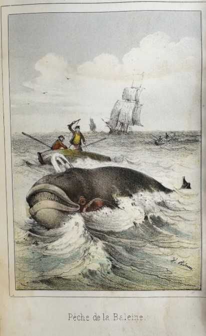 Souvenirs d'un Vieux Pêcheur