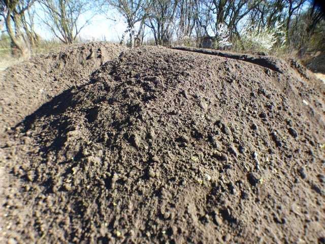 Piasek Piach  pod fundamenty