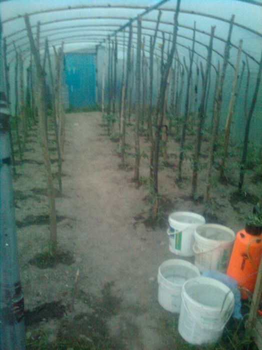 Szklarniak, konstrukcja ocynk