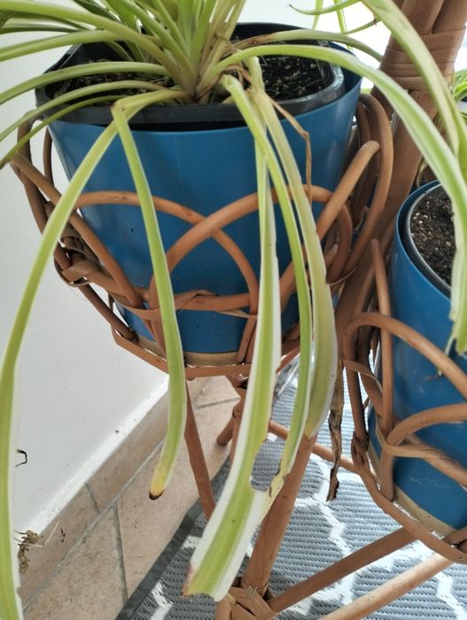 Bambusowy kwietnik na cztery kwiaty
