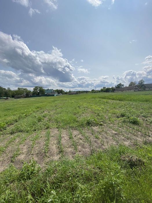 Будинок село Буща.